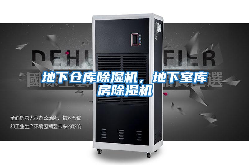 地下倉(cāng)庫(kù)除濕機(jī),地下室?guī)旆砍凉駲C(jī)