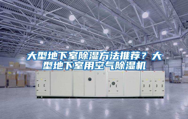 大型地下室除濕方法推薦？大型地下室用空氣除濕機