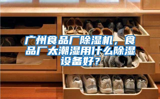 廣州食品廠除濕機,食品廠太潮濕用什么除濕設備好?