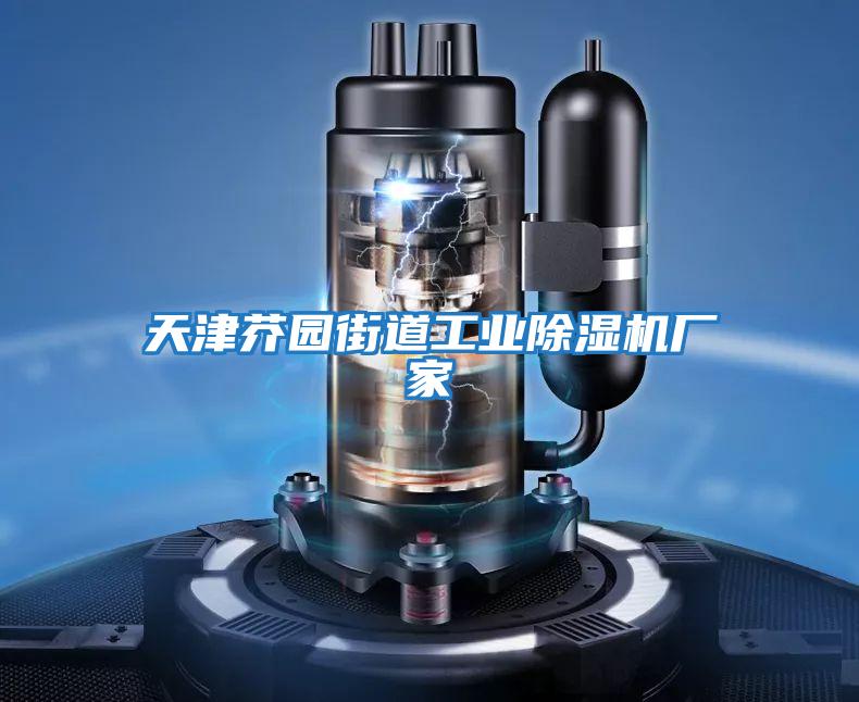 天津芥園街道工業除濕機廠家