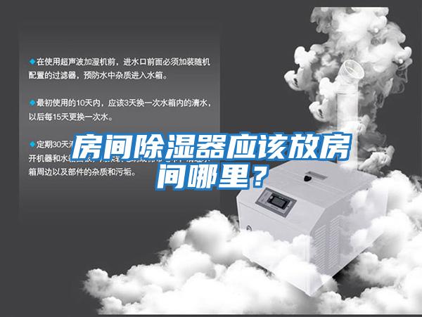 房間除濕器應該放房間哪里？