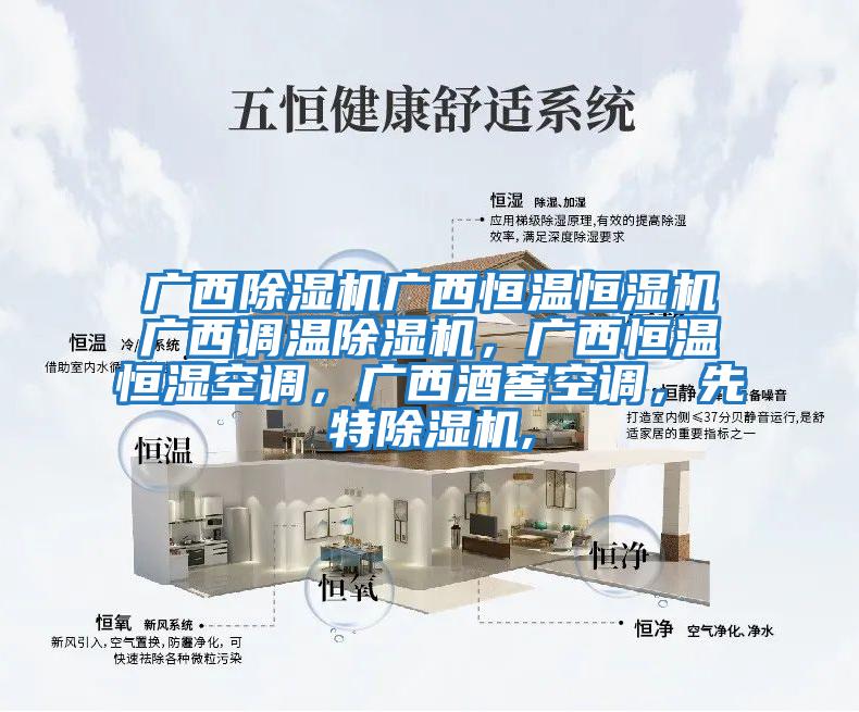廣西除濕機(jī)廣西恒溫恒濕機(jī)廣西調(diào)溫除濕機(jī),廣西恒溫恒濕空調(diào),廣西酒窖空調(diào),先特除濕機(jī),