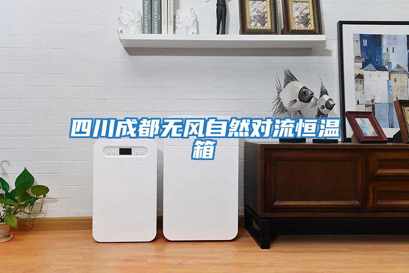 四川成都無(wú)風(fēng)自然對(duì)流恒溫箱