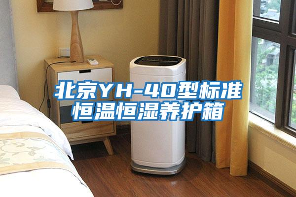 北京YH-40型標準恒溫恒濕養護箱