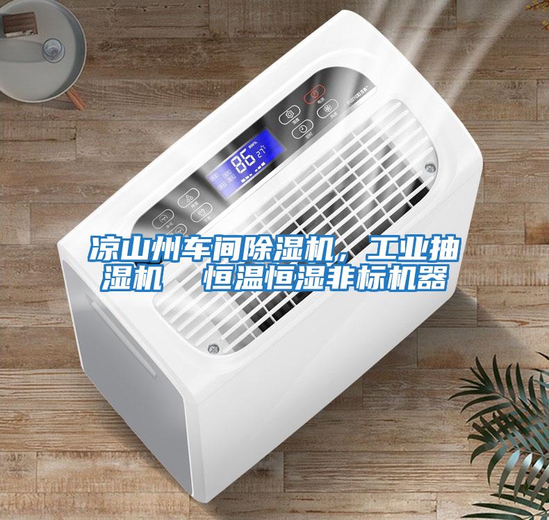 涼山州車(chē)間除濕機(jī),工業(yè)抽濕機(jī) 恒溫恒濕非標(biāo)機(jī)器