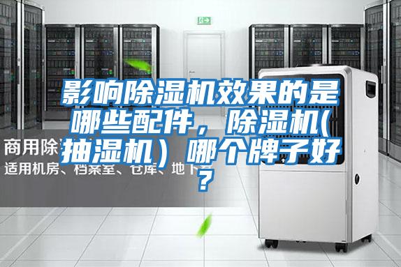 影響除濕機(jī)效果的是哪些配件，除濕機(jī)(抽濕機(jī)）哪個牌子好？