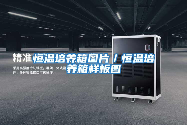 恒溫培養(yǎng)箱圖片/恒溫培養(yǎng)箱樣板圖