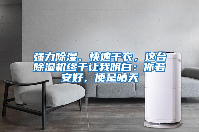 強(qiáng)力除濕、快速干衣，這臺(tái)除濕機(jī)終于讓我明白：你若安好，便是晴天