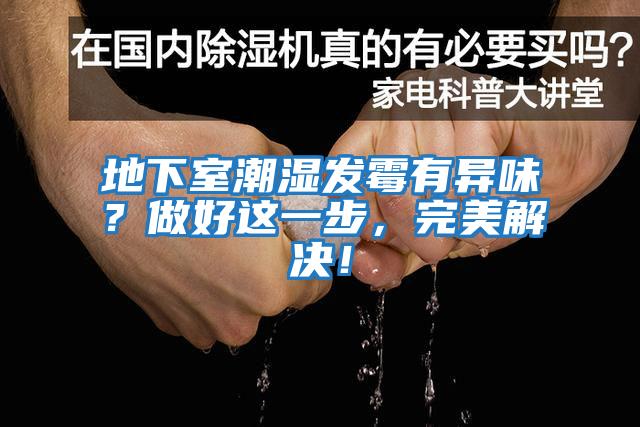 地下室潮濕發霉有異味？做好這一步，完美解決！