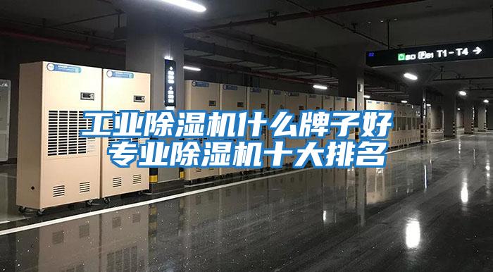 工業除濕機什么牌子好 專業除濕機十大排名