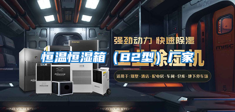 恒溫恒濕箱(B2型)廠家