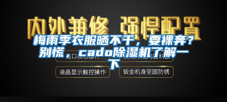 梅雨季衣服曬不干，要裸奔？別慌，cado除濕機了解一下