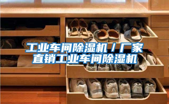 工業車間除濕機/廠家直銷工業車間除濕機