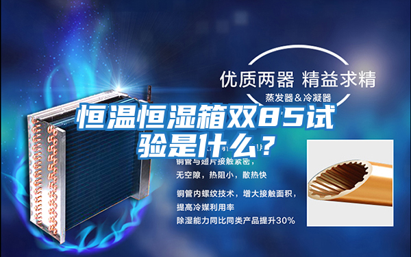 恒溫恒濕箱雙85試驗(yàn)是什么?