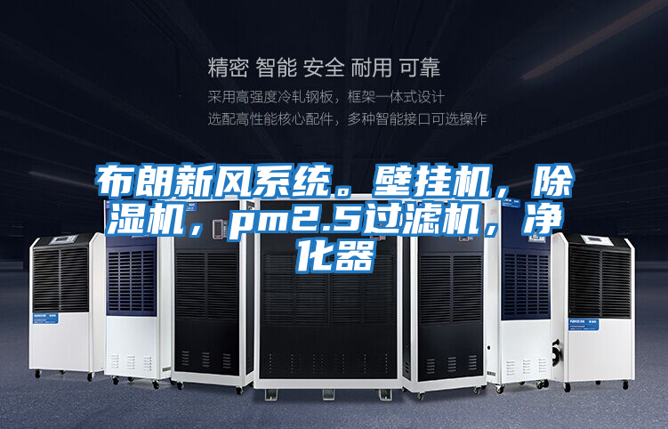 布朗新風系統。壁掛機，除濕機，pm2.5過濾機，凈化器