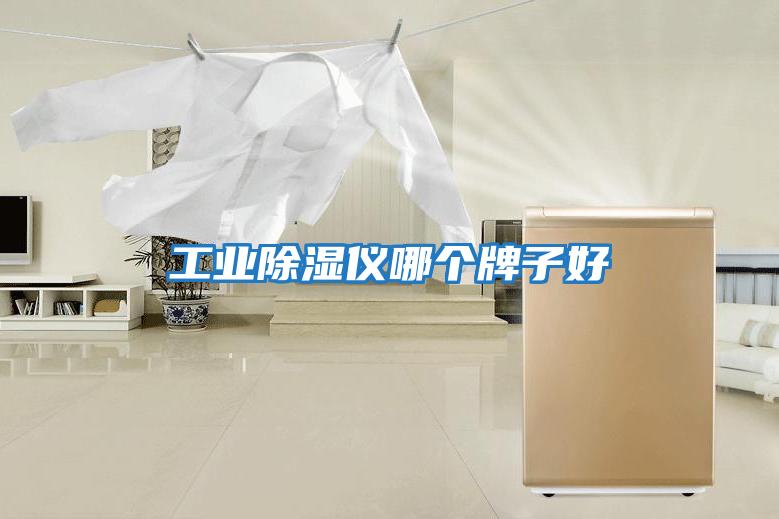 工業除濕儀哪個牌子好