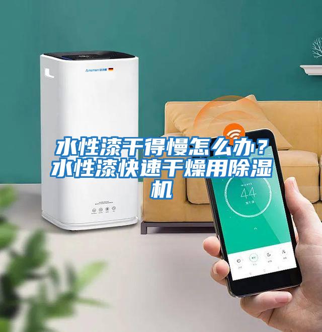 水性漆干得慢怎么辦？水性漆快速干燥用除濕機