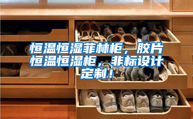 恒溫恒濕菲林柜，膠片恒溫恒濕柜，非標(biāo)設(shè)計定制！