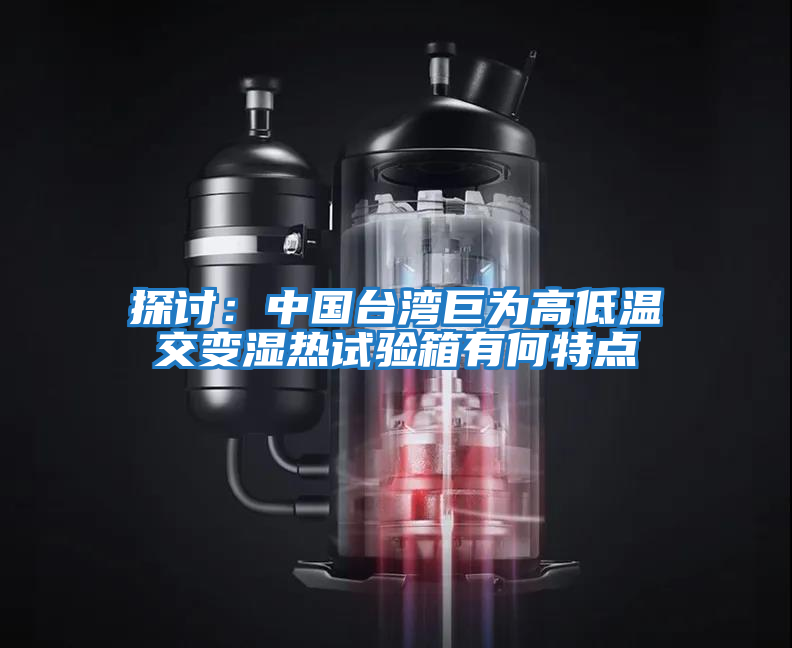 探討：中國臺(tái)灣巨為高低溫交變濕熱試驗(yàn)箱有何特點(diǎn)