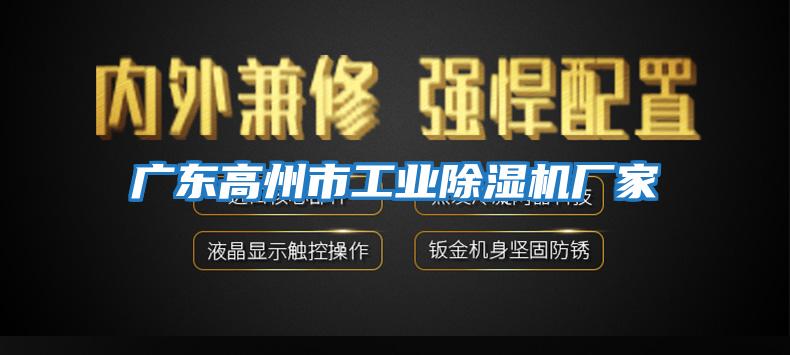 廣東高州市工業(yè)除濕機廠家