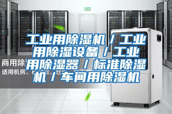 工業用除濕機/工業用除濕設備/工業用除濕器/標準除濕機/車間用除濕機