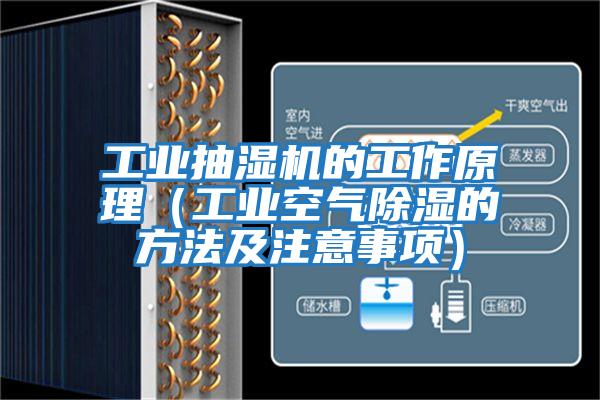 工業(yè)抽濕機(jī)的工作原理(工業(yè)空氣除濕的方法及注意事項(xiàng))