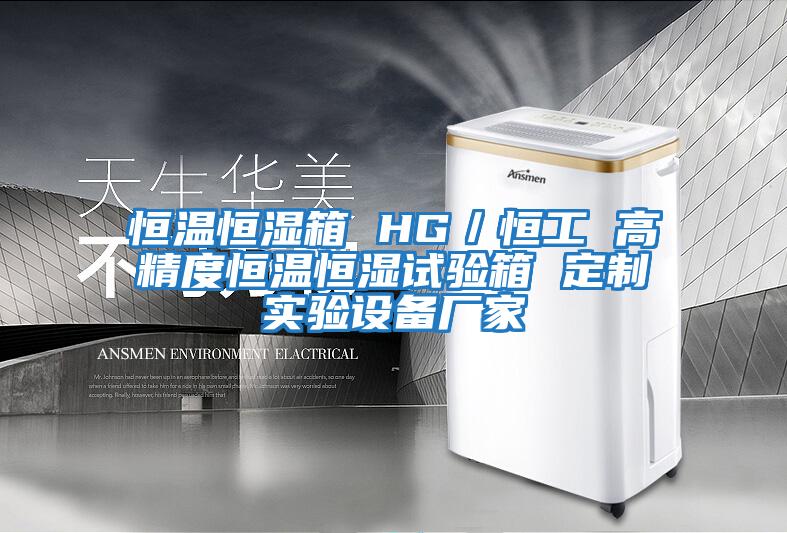 恒溫恒濕箱 HG/恒工 高精度恒溫恒濕試驗箱 定制實驗設備廠家