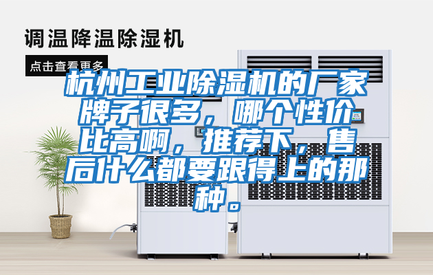 杭州工業(yè)除濕機(jī)的廠家牌子很多，哪個(gè)性價(jià)比高啊，推薦下，售后什么都要跟得上的那種。