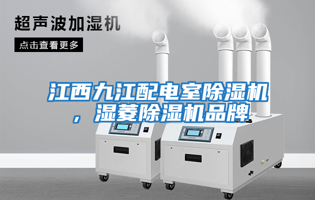 江西九江配電室除濕機(jī),濕菱除濕機(jī)品牌