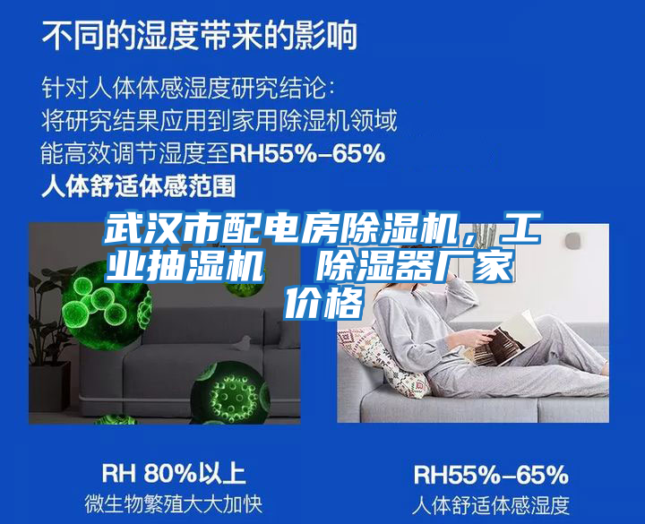 武漢市配電房除濕機,工業抽濕機 除濕器廠家 價格