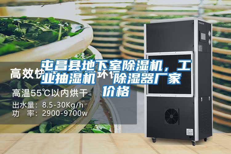 屯昌縣地下室除濕機，工業(yè)抽濕機  除濕器廠家 價格