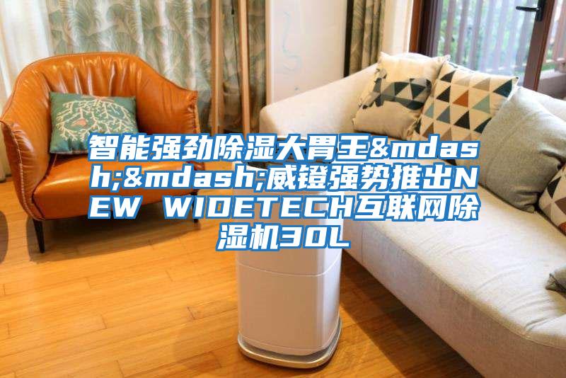 智能強勁除濕大胃王——威鐙強勢推出NEW WIDETECH互聯網除濕機30L