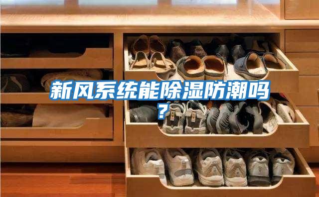 新風系統能除濕防潮嗎？