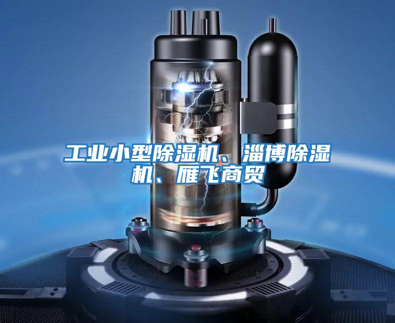 工業小型除濕機、淄博除濕機、雁飛商貿