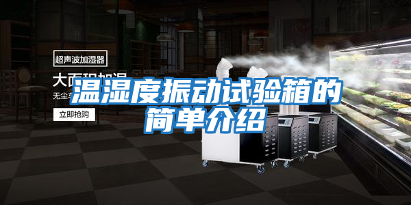 溫濕度振動試驗(yàn)箱的簡單介紹