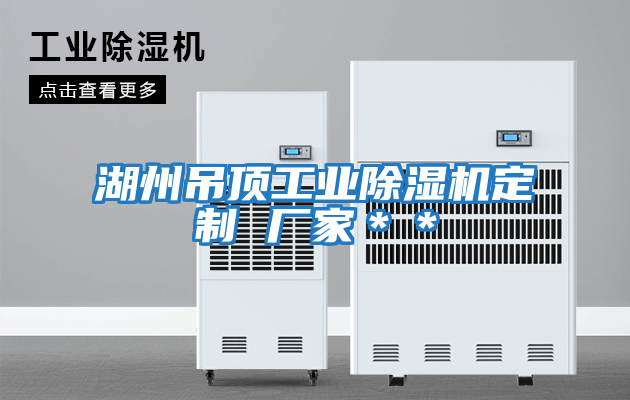 湖州吊頂工業(yè)除濕機定制 廠家＊＊