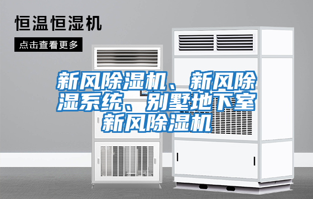 新風(fēng)除濕機(jī)、新風(fēng)除濕系統(tǒng)、別墅地下室新風(fēng)除濕機(jī)