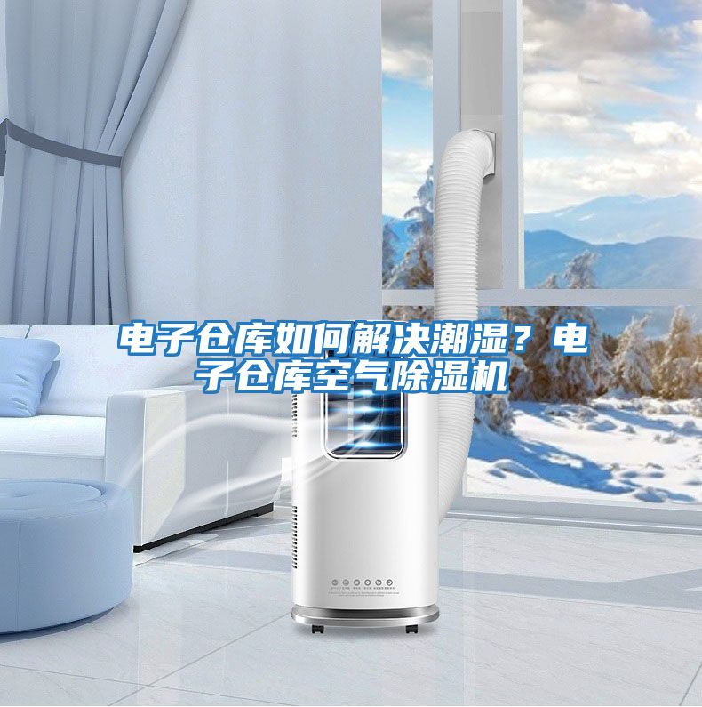 電子倉庫如何解決潮濕？電子倉庫空氣除濕機