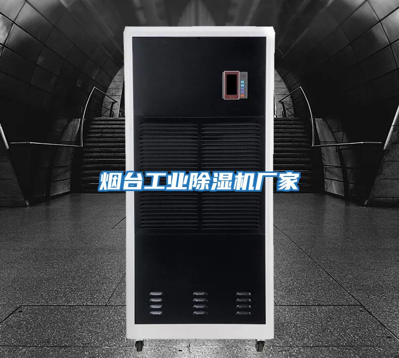 煙臺工業(yè)除濕機(jī)廠家