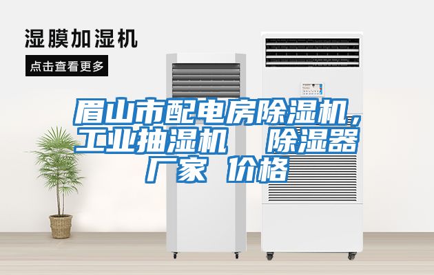 眉山市配電房除濕機(jī)，工業(yè)抽濕機(jī)  除濕器廠家 價(jià)格