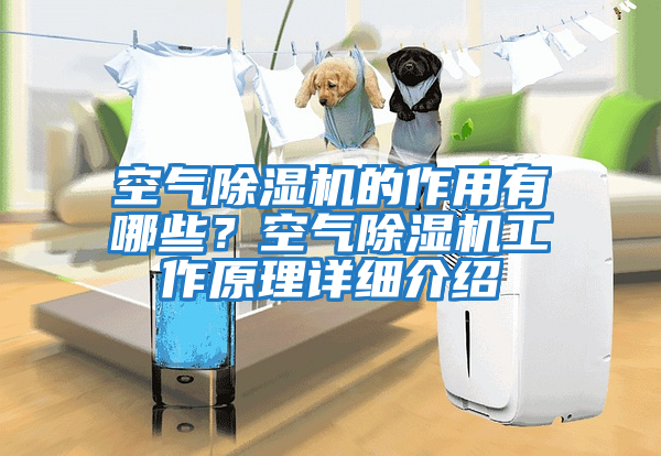 空氣除濕機的作用有哪些？空氣除濕機工作原理詳細介紹