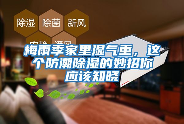 梅雨季家里濕氣重，這個防潮除濕的妙招你應該知曉