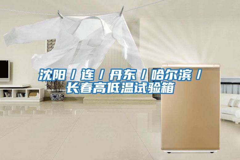 沈陽/連/丹東/哈爾濱/長(zhǎng)春高低溫試驗(yàn)箱