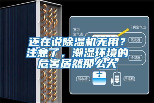 還在說除濕機無用？注意了，潮濕環境的危害居然那么大