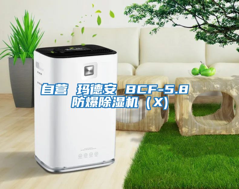 自營(yíng) 瑪?shù)掳?BCF-5.8 防爆除濕機(jī)(X)