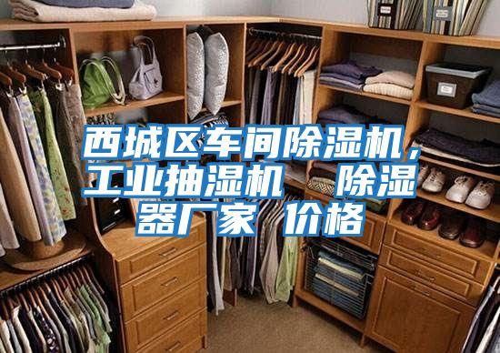 西城區(qū)車間除濕機，工業(yè)抽濕機  除濕器廠家 價格