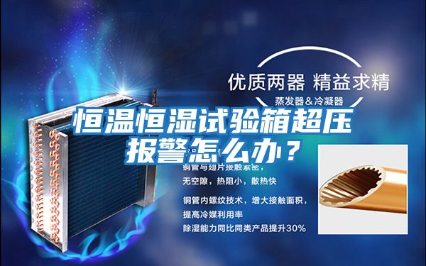恒溫恒濕試驗(yàn)箱超壓報(bào)警怎么辦？
