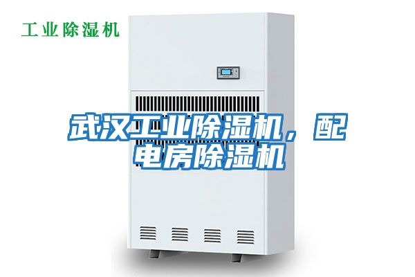 武漢工業(yè)除濕機(jī)，配電房除濕機(jī)