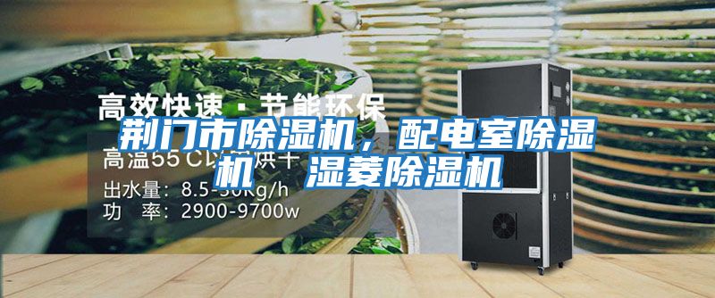 荊門市除濕機,配電室除濕機 濕菱除濕機