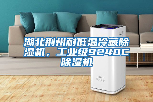 湖北荊州耐低溫冷藏除濕機(jī)，工業(yè)級(jí)9240C除濕機(jī)